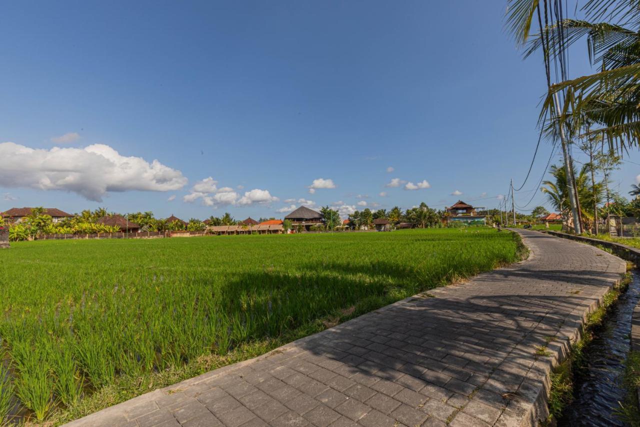 Niluh Private Villas Ubud Zewnętrze zdjęcie