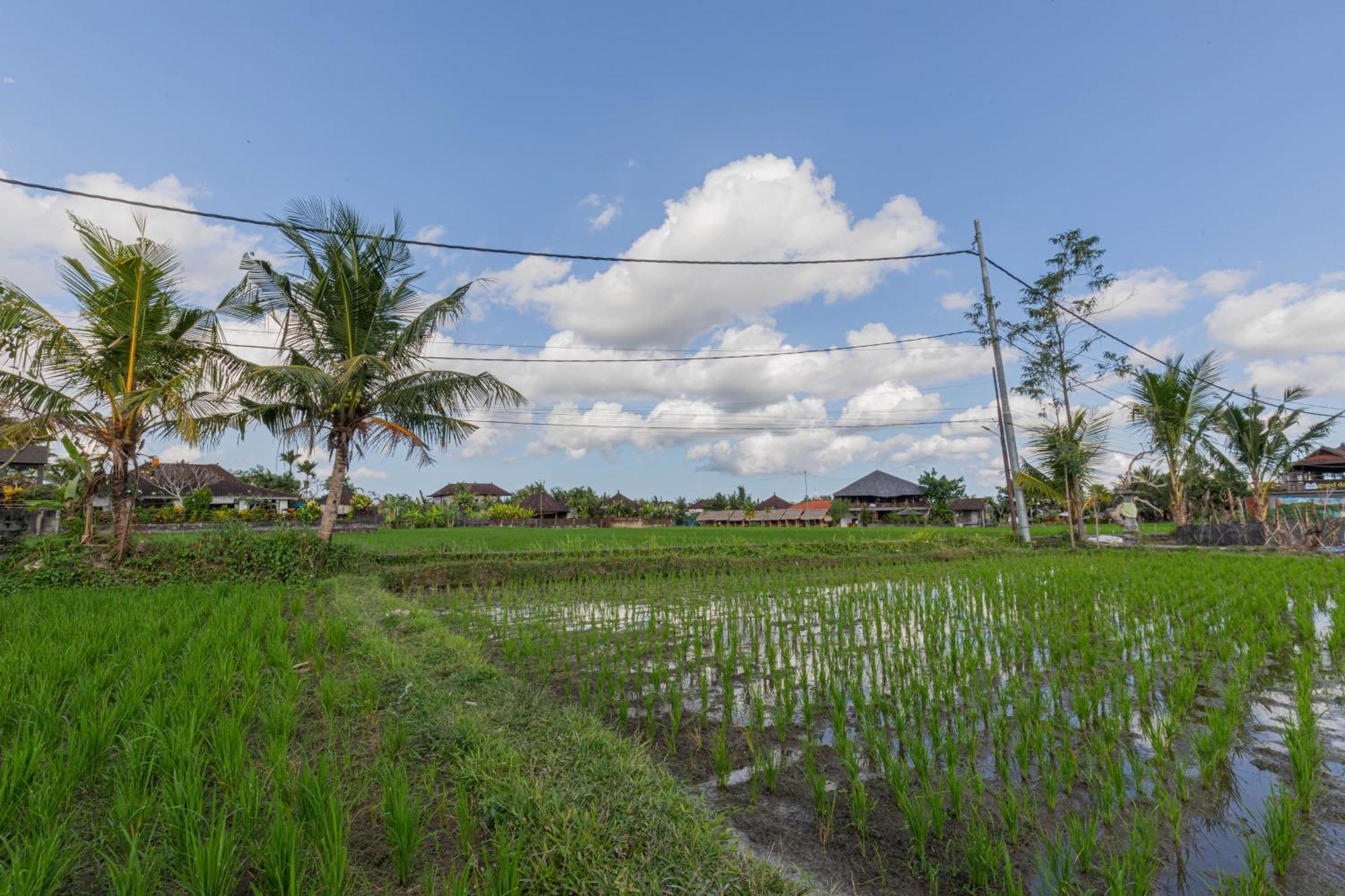 Niluh Private Villas Ubud Zewnętrze zdjęcie